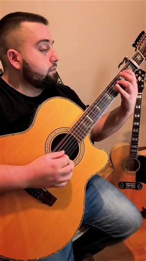 Metallica - Fade to black on 12-string