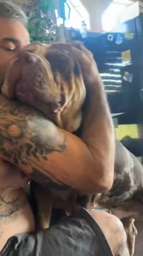 Best Boy Ever 🫶🏻🐾🤎 | Heather Brumfield