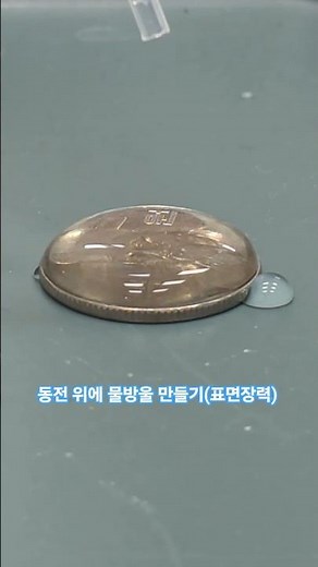 동전 위에 물방울 만들기(표면장력)