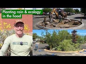 We turned weeds into wildflowers & pavement into oases!