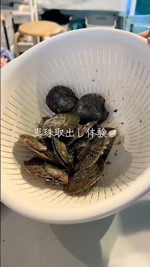 📍しながわ水族館真珠取出し体験🦪✨¥1,000+アクセサリー代 水族館の思い出に🦭💭 #しながわ水族館 #水族館 #東京 #品川 #観光
