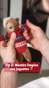 Tips de Prevención para tu mascota PPT