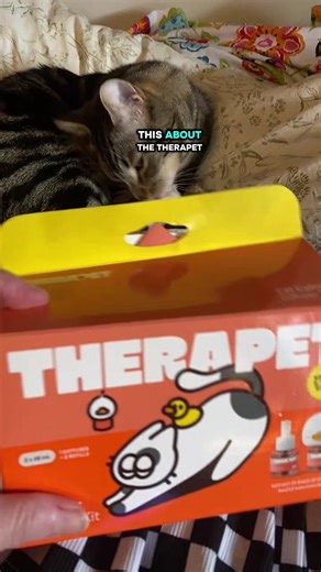 Calming Diffuser for Multi-Cat Households