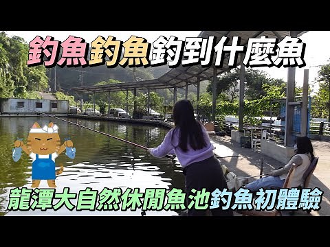 【來釣魚囉】釣魚釣魚釣到什麼魚？龍潭大自然休閒魚池釣魚初體驗！新手快樂池零經驗也能拉竿拉不完！|店裡有隻貓
