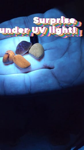 Mongo Dam discoveries!