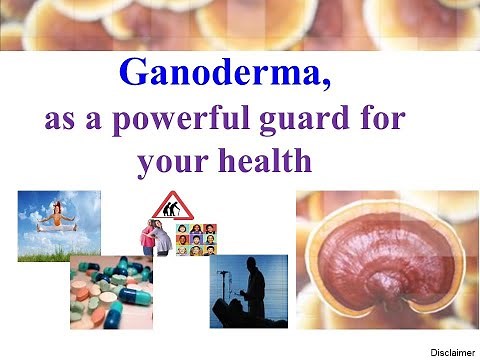 Webinar - Shuang Hor Product : Ganoderma, as a powerful guard for your health