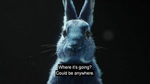 699K views · 640 reactions | Enjoying scrolling through your feed? Or are you the kind of person to follow this rabbit? | O2 | Facebook