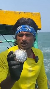 42K views · 1.7K reactions | వలలో పడిన Ribbon Fish | Local Boi Nani | | Local Boi Nani | Facebook