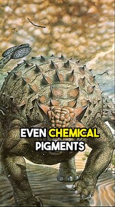 Ancient Astronaut Theorists on Reels