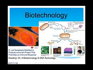 Biotechnology Lecture