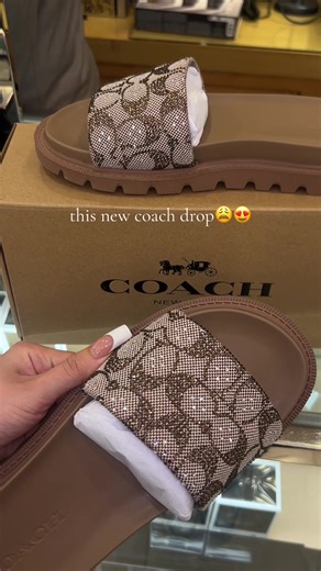 Exciting New Coach Slide Releases