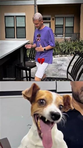 Try Not to Laugh Challenge🤣 137