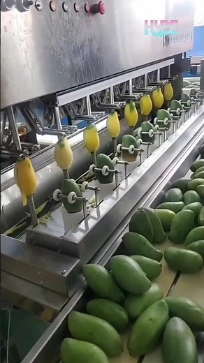 This Machine Peels 1000 Mangoes an Hour! 🥭
