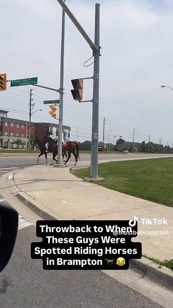 Where do you think they were heading? 😭🐎 Credit: tt/mr_mrs_purba Follow @mustbebrampton for more Brampton content! 🌹🇨🇦 #mustbebrampton #mustbe #brampton #ontario #canada