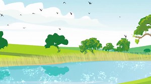 Landscape In The Spring