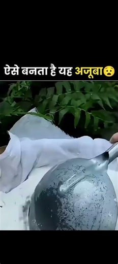 Treasure Hidden Inside Tree 😮