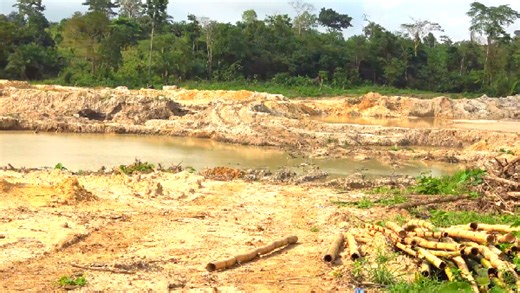 Nearly 9,000 hectares of Ghana's forest reserves destroyed - Forestry Commission