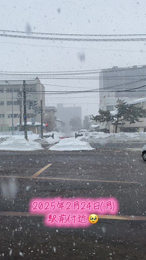 会津若松市の雪景色と天気予報 | 会津 雪道と明日の天気