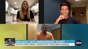 Gator in the garage!