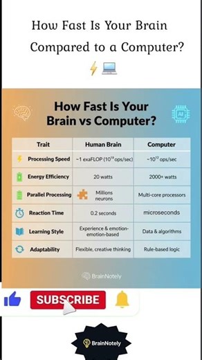 How Fast Is Your Brain Compared to a Computer? ⚡💻