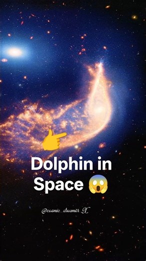 Space dolphin 🐬 cought by nasa