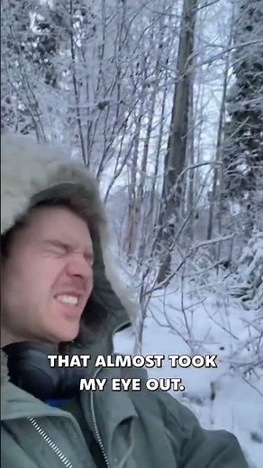 BEWARE the PYRENEES PAW! Great Pyrenees Breed Review Highlights #shorts