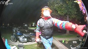 The pee dance #chuckiedoll #igottapee #ringcameracapture