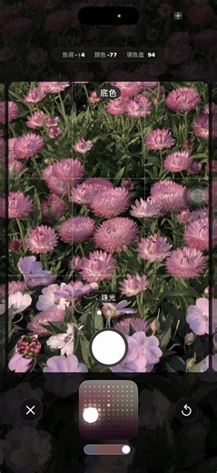 Chụp Ảnh Đẹp Với Tính Năng Bảng Màu Trên iPhone