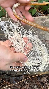 Replying to @🤍Izzy🤍 how to make sinew #fyp #bushcraft #survival #wildernessskills #primitive #sinew #sagesmokesurvival | Sage Smoke Survival