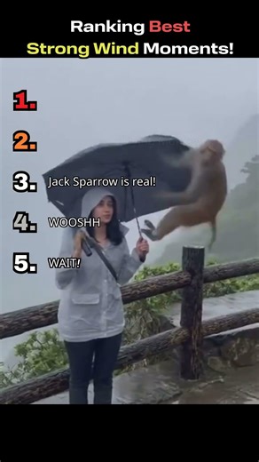 Ranking Best Strong Wind Moments 🤣