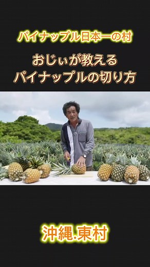 沖縄のパイナップルの切り方を学ぼう🍍✨