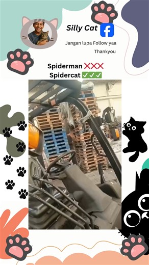 6.5K views · 102 reactions | Belajar jadi spidercat dulu  | Silly cat | Facebook