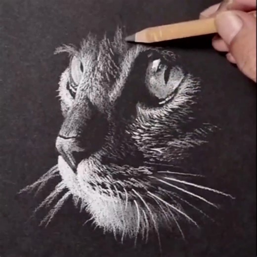 102K views · 1.9K reactions | The face of a cat Pastel pencils medium learn to draw at: veriartcenter.com ... | DRAWING PENCIL | Facebook