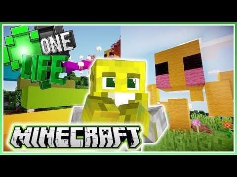 Rainbow Floating Island! | Minecraft One Life 2.0 | Ep.9