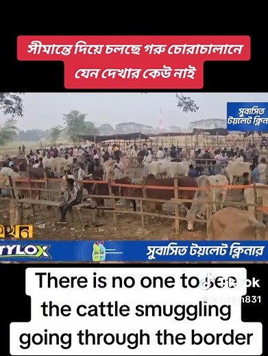 lamsam (@lamsam831)’s videos with original sound - lamsam