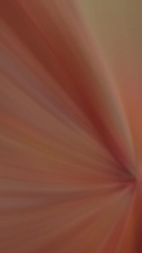 Discover Cute Cartoon Names for Your Characters