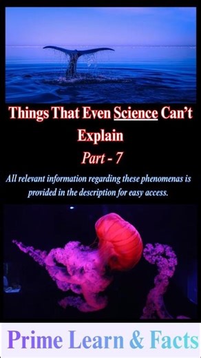5 Things That Even Science Can’t Explain | Part 7 | Prime Learn & Facts
