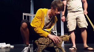 Training a new assistant for the show... isn't she sweet!! #africanserval #edgeofillusion #starlitetheatre #bransonpromisedlandzoo #plzoo #behindthescenes #rehearsal | REZA | Illusionist