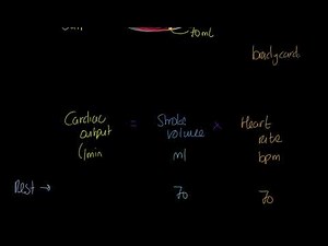 OCR A-level PE: Cardiac Volumes