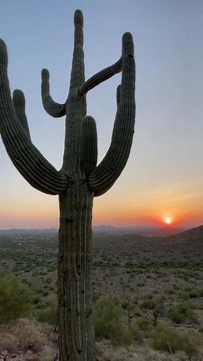 Arizona Sunset Check #Arizona #sunset #arizonastate #Desert #phoenix #hikeaz #azgang