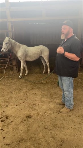 Farrier is here Letâ€™s see if we can get Luna done ï¿¼ï¿¼ | Emerson Williams Ewh