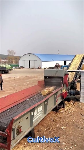 Processing Logs and Branches into Wood Chips