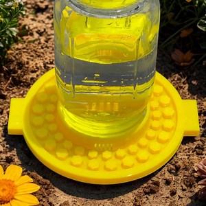 Bee Feeder Watering Station | Pollinator-friendly, Small Mouth Mason - Etsy