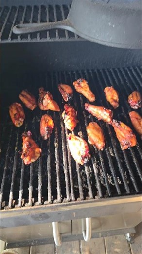 Wings!!! #48farm #zgrills