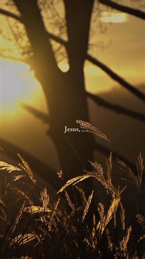 Pause for a moment. Release what you’re carrying. Come back to yourself—and to God. There is union here. There is breath for the week ahead. | John Eldredge and Wild At Heart