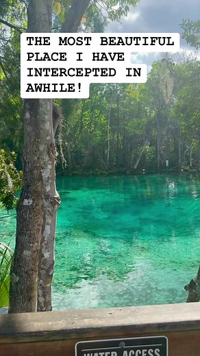 136K views · 3.2K reactions | I stumbled upon the most beautiful place in the world today! Here is Three Springs park in Crystal Springs, FL. I missed the manatees for the season, but the spring waters are so blue. #nature #florida | Reed Timmer Extreme Meteorologist | Facebook