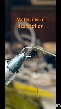 Quilled body buzzer pupa #flytying #fishing #browntrout #flytyingaddict #fishinglife #flytyers