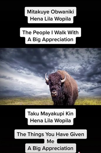 Lakota Songs and Culture: A Glimpse into Tradition