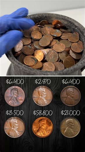 𝐈𝐝𝐞𝐧𝐭𝐢𝐟𝐲 𝐂𝐨𝐢𝐧𝐬 𝐈𝐧𝐬𝐭𝐚𝐧𝐭𝐥𝐲. 𝐔𝐧𝐝𝐞𝐫𝐬𝐭𝐚𝐧𝐝 𝐓𝐡𝐞𝐢𝐫 𝐕𝐚𝐥𝐮𝐞. 𝐎𝐫𝐠𝐚𝐧𝐢𝐳𝐞 𝐖𝐡𝐚𝐭 𝐘𝐨𝐮 𝐎𝐰𝐧 🔥 At the heart of CoinIn is fast, accurate coin recognition. The app analyzes your photo and matches it against a massive database of world coins. This works whether the coin is modern, old, foreign, or something you’ve never seen before. No manuals. No terminology barriers. Just clear identification. 𝐂𝐨𝐢𝐧𝐈𝐧 𝐝𝐨𝐞𝐬𝐧’𝐭 𝐬𝐭𝐨𝐩 𝐚𝐭 𝐢𝐝𝐞𝐧𝐭𝐢𝐟𝐢𝐜𝐚𝐭�