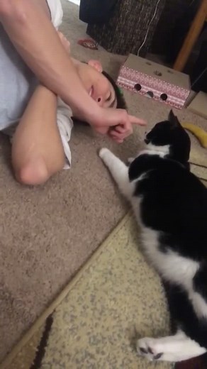 You boop me, I boop you back #catsoftiktok #noseboop